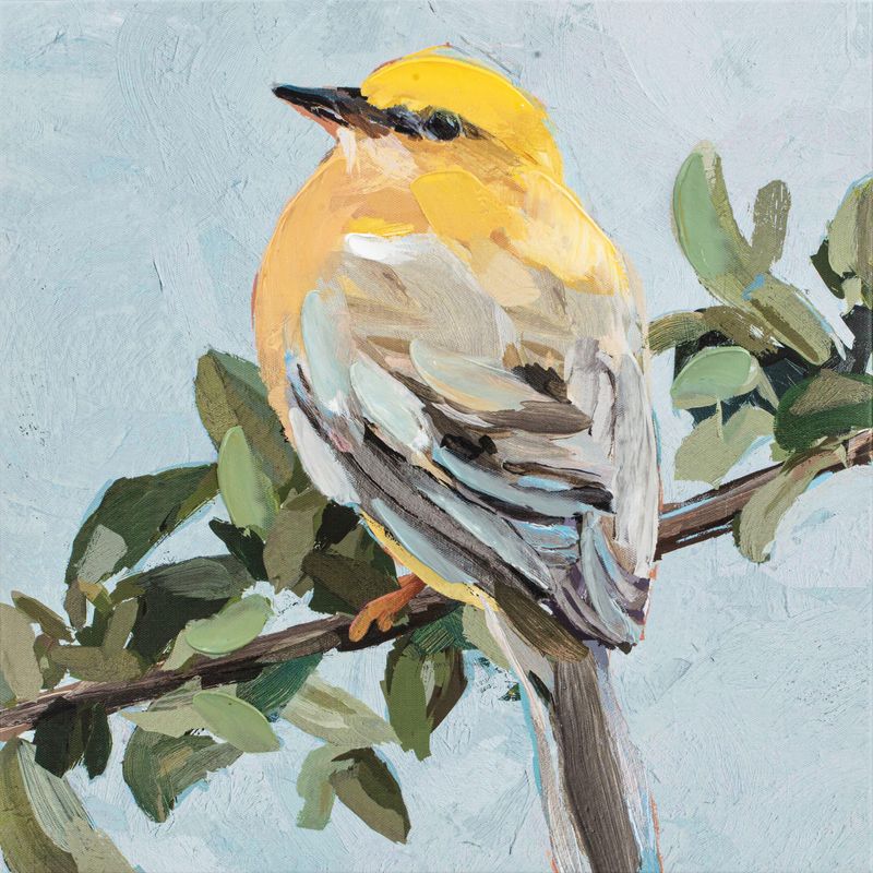JUST HOME COLLECTION - Cuadro Pajarito Amarillo 40x40cm