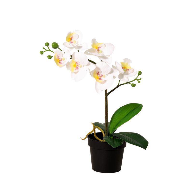 JUST HOME COLLECTION - Planta Artificial Orquídea Color Surtido 34cm