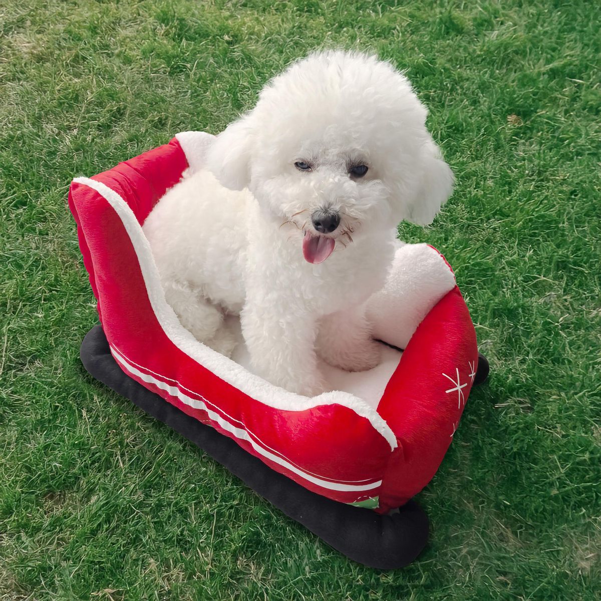 DEAR SANTA - Cama para Mascota Trineo Pet Glam