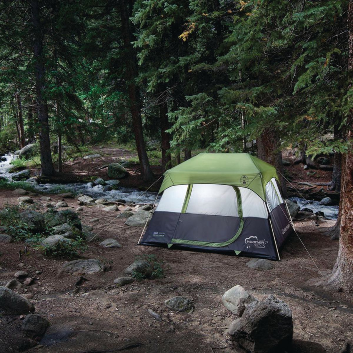 COLEMAN - Carpa Instant 6 Personas Gris y Verde