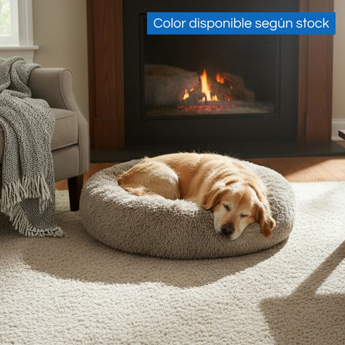 PETIZOOS - Cama para Perro Redonda 58x58x14 cm Gris Oscuro