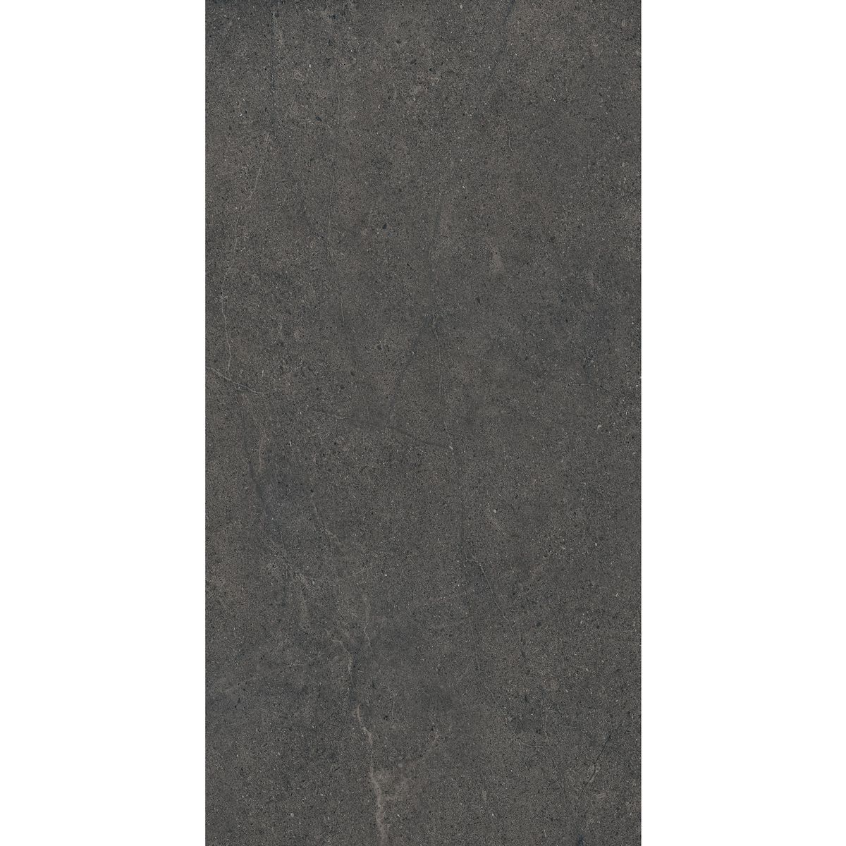  - Piso Lime Evo Nero 60x120cm