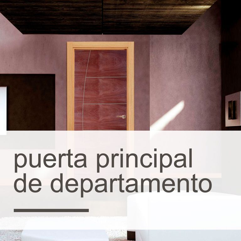 Puerta Principal de Departamento
