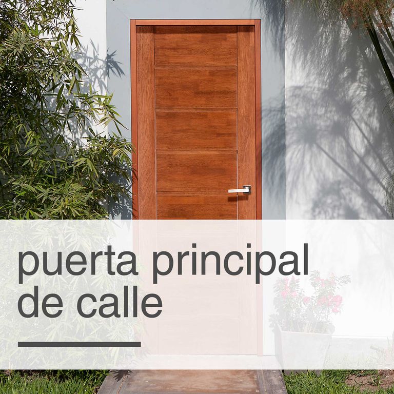Puerta Principal de Calle