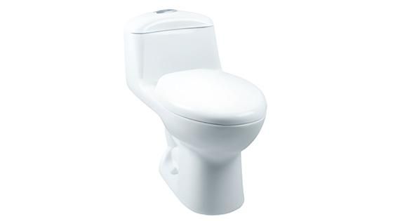 SANITARIO DE UNA PIEZA
