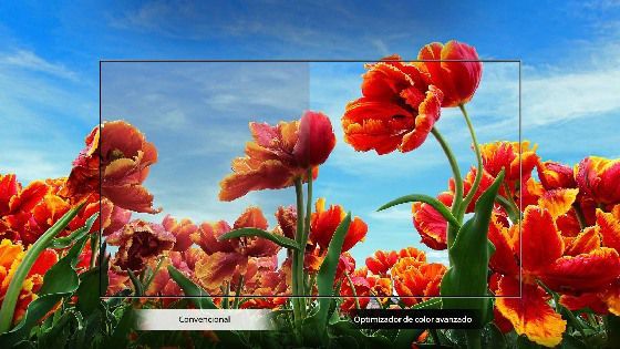 Optimizador de color dinámico