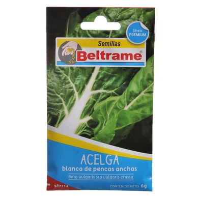 Semillas de hortaliza acelga blanca