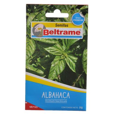 Semillas de hortaliza albahaca
