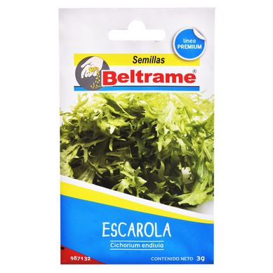 Semillas de hortaliza escarola crespa