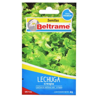 Semillas de hortaliza lechuga batavia