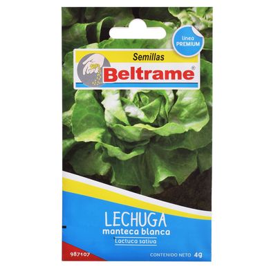 Semillas de hortaliza lechuga manteca