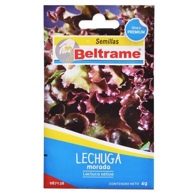 Semillas de hortaliza lechuga morada