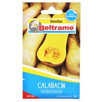 Semillas de hortaliza zapallo calabacin