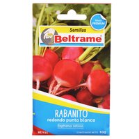 Semillas de hortaliza rabanito blanco