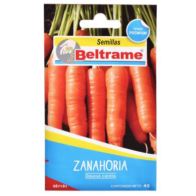 Semillas de hortaliza zanahoria