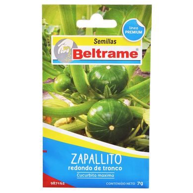 Semillas de hortaliza zapallito tronco