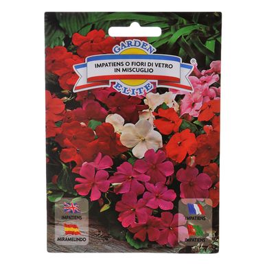 Semillas de flores alegr�a