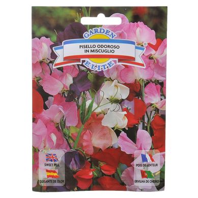 Semillas de flores arvejilla mix