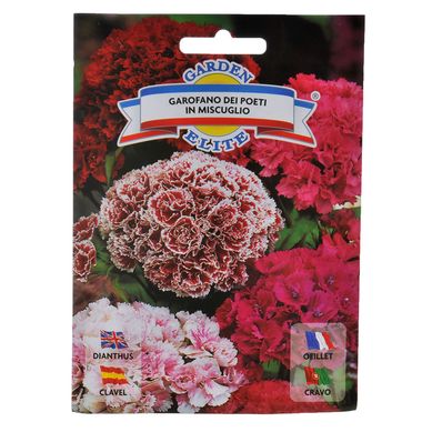 Semillas de flores clavel poeta