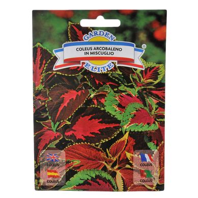 Semillas de flores coleus mix