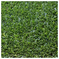 Rollo de césped Axonopus 1/2 m2