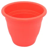 Maceta Alelí rojo