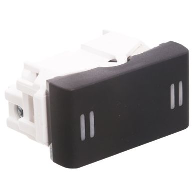 M�dulo interruptor combinado Grafito