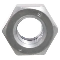 Tuerca hexagonal con Nylon M6 x 10 unidades