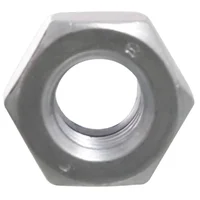 Tuerca hexagonal con Nylon M10 x 10 unidades