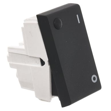 M�dulo interruptor bipolar 16 A gris