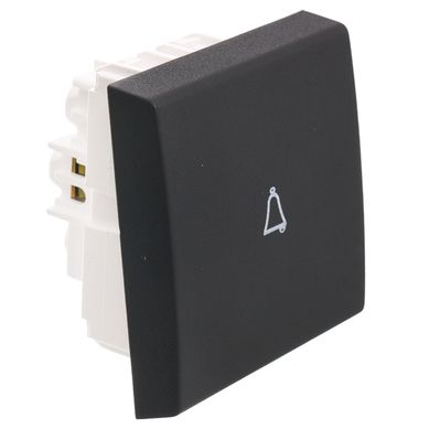 M�dulo interruptor pulsador 2 m�dulos 10 A gris Reggio