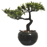 Bonsai con maceta 25 x 15 x 25 cm