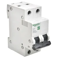 Disyuntor Easy 9 de 6K 2P 10A