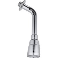 Cabezal de ducha plástico ovalado 4.4 cm con brazo