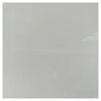 Porcelanato Super gris brillante 60x60 cm