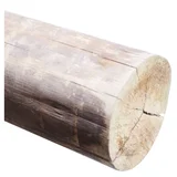 Postes Tratados 3 m x 17 cm