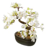 Bonsai florido blanco