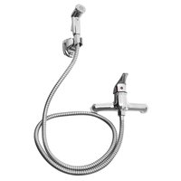 Ducha higiénica de metal plateada