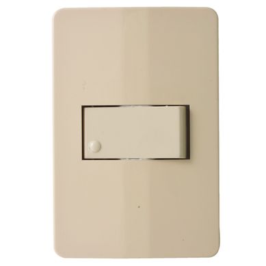 Armado 1 interruptor combinado marfil