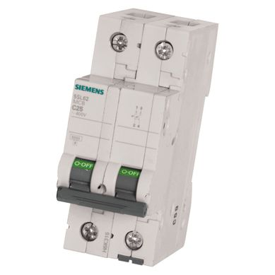 Interruptor termomagn�tico 2 polos 25 A