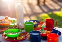 Set de picnic con cubiertos platos y tazas  para 4 personas