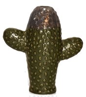 Cactus Aisea oliva 16 x 7 x 18 cm