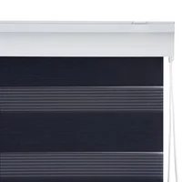 Cortina roller Día y Noche 100 x 100 cm gris oscuro