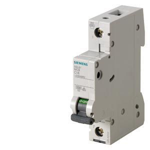 Interruptor termomagn�tico 1P 20A