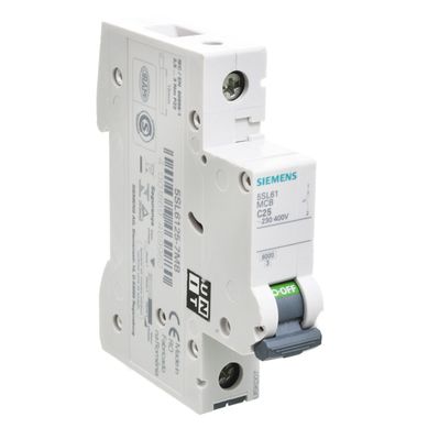 Interruptor termomagn�tico 1P 25A