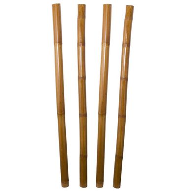 Pack de 20 caas decorativas 180 m