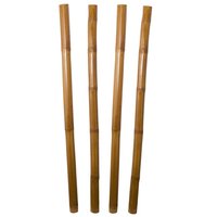 Pack de 20 cañas decorativas 180 m