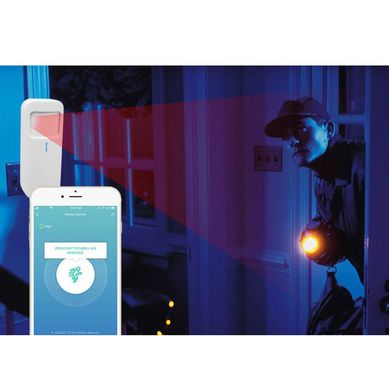 Sensor de movimiento smart
