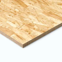OSB 9 mm 244 x 122 cm