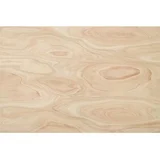 Compensado fenólico Eucaliptus 5.5 mm 244 x 122 cm